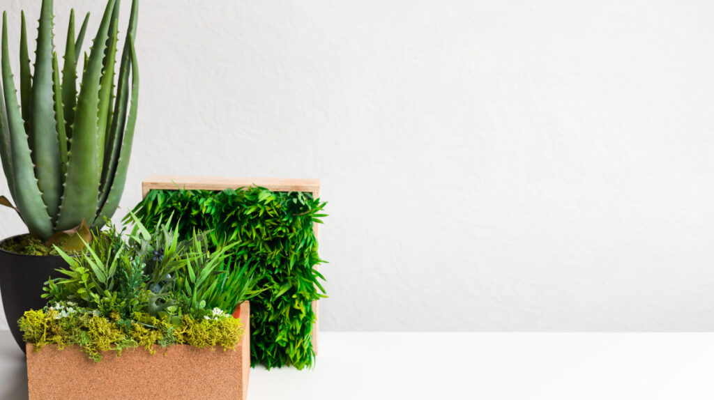 Provide Aesthetic Appeal