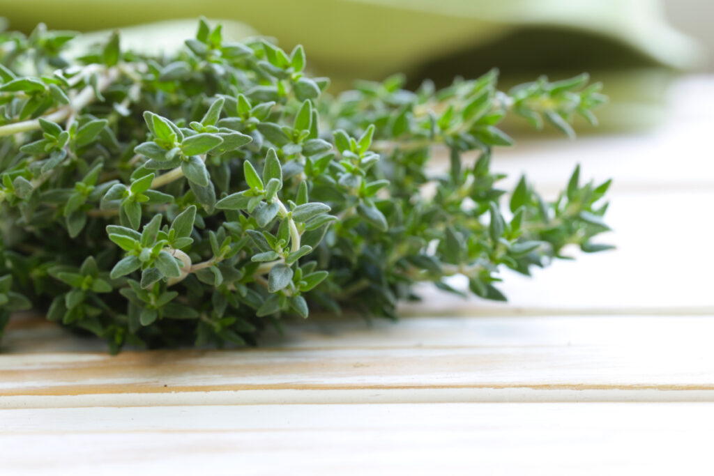 10 Easy Herbs to Grow in Your Home Garden