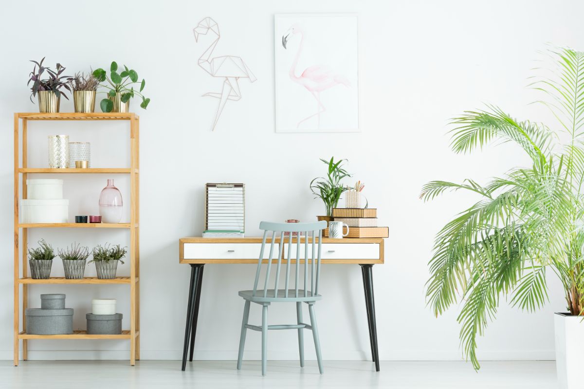 10 Best Aesthetic Plants to Add to Your Office