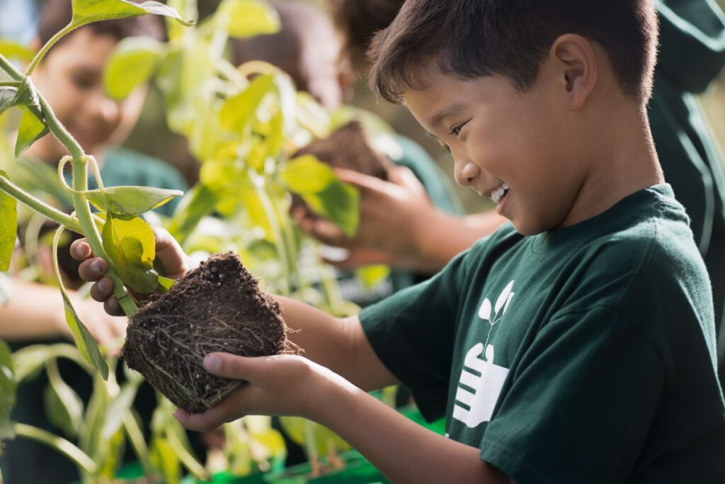 Indoor Plants Improve Student’s Mental Well-Being