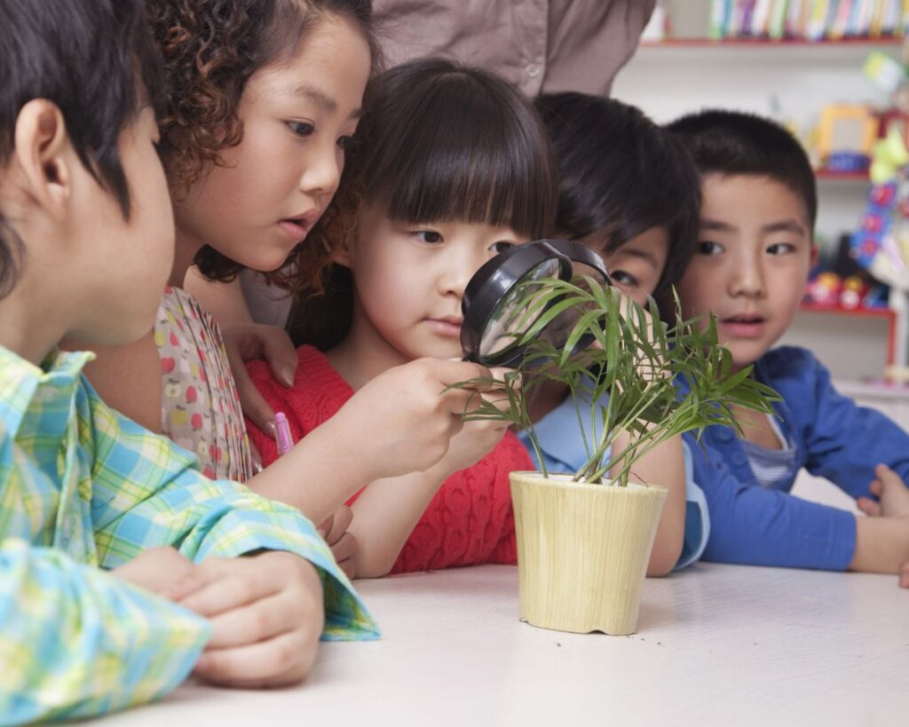 Indoor Plants Promote Environmental Awareness