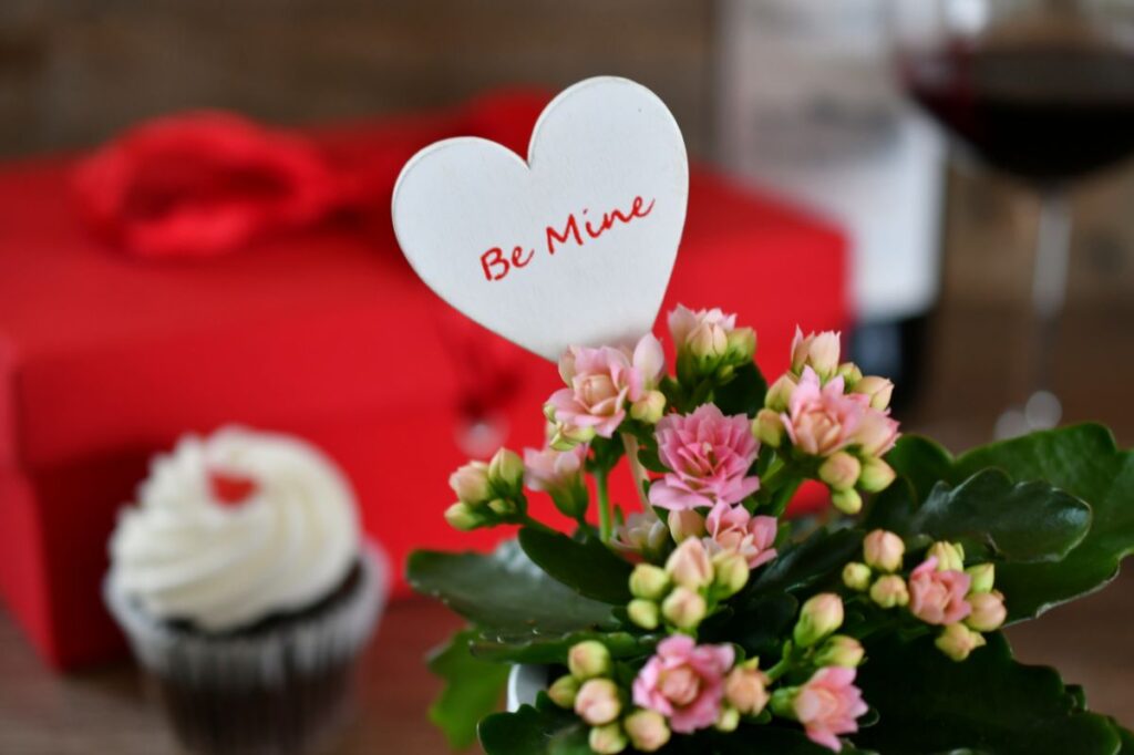 5 Best Indoor Plants For Valentine's Day Gifts