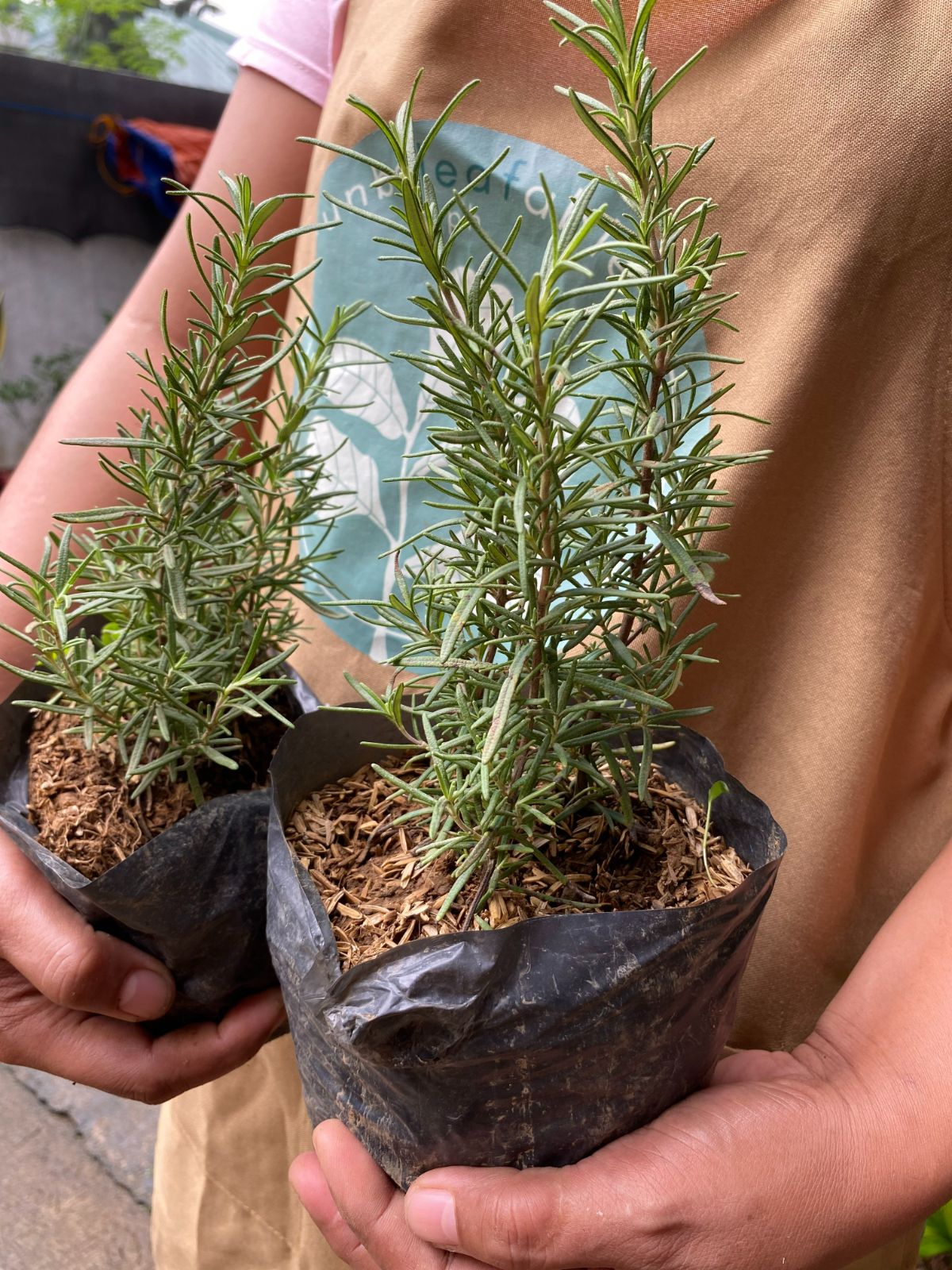 Something with a Purpose