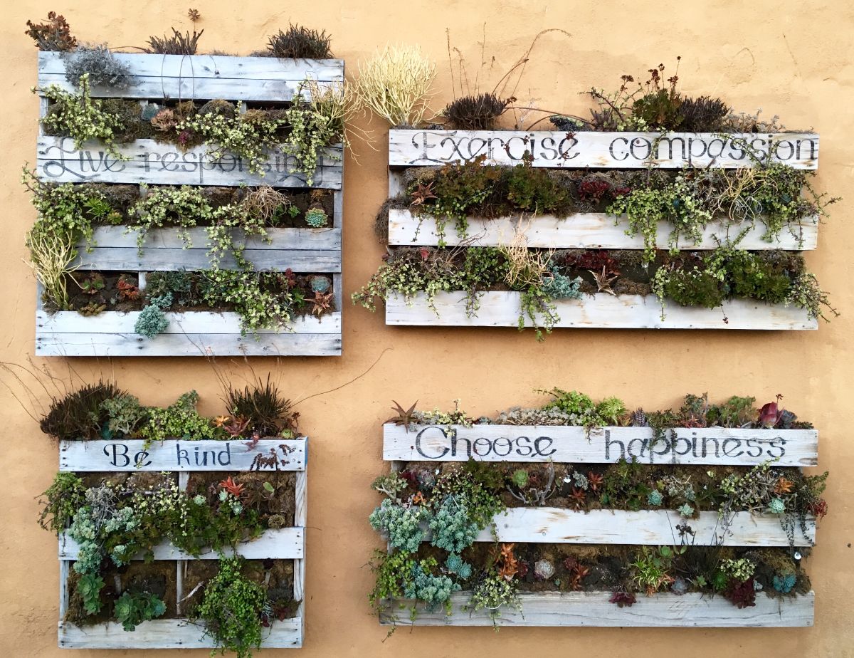 6 Tips for Maintaining Your Vertical Wall Garden
