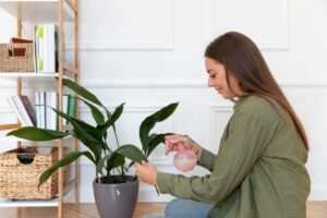 Ways to Protect Your Plants from Pests and Chemicals