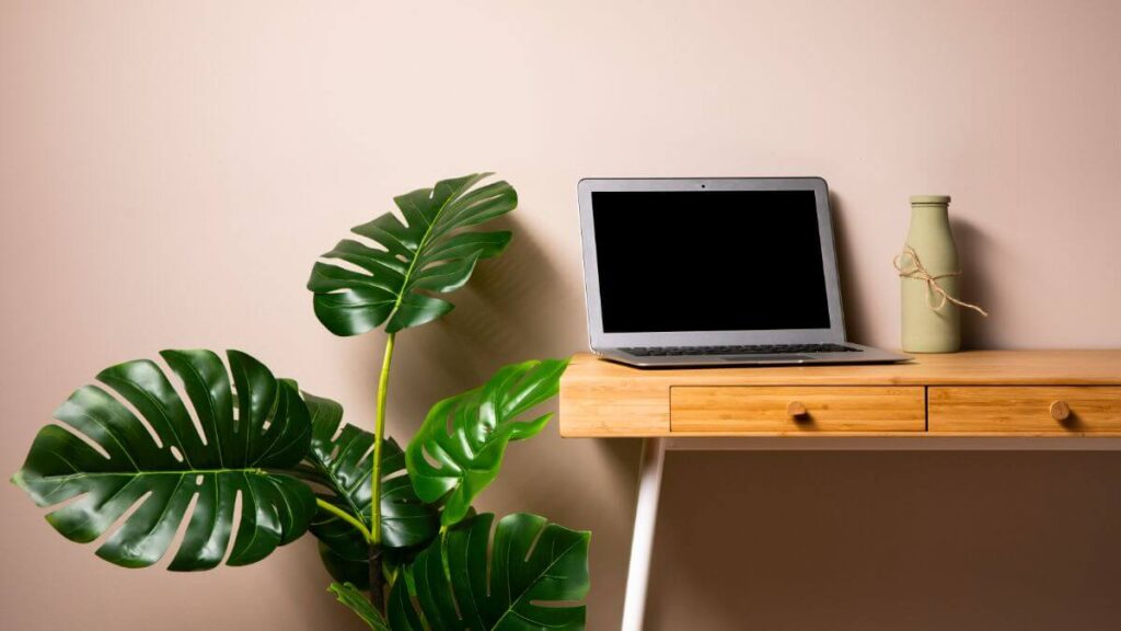 Different Ways to Have Plants in Your Office