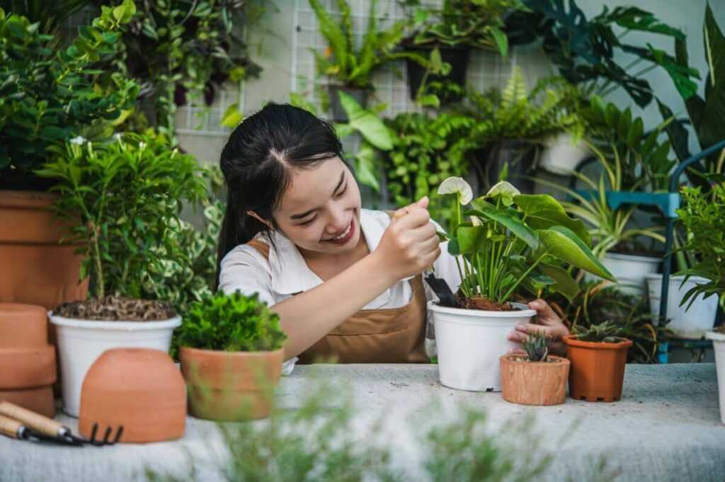 Provide Proper Plant Care