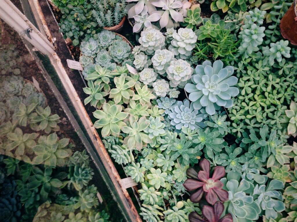 5 Factors Driving the Demand in Plant Rentals