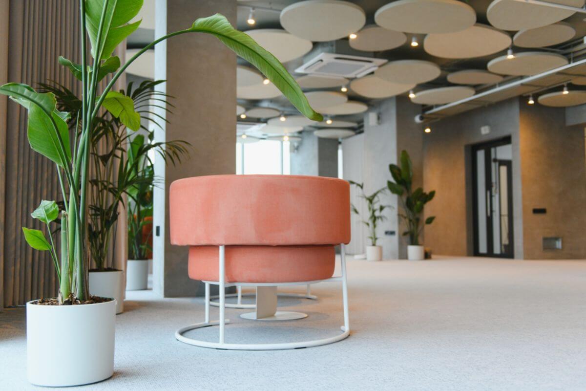 Plant Supplier in BGC: Bring Life to One of Manila's Most Design-Forward Districts