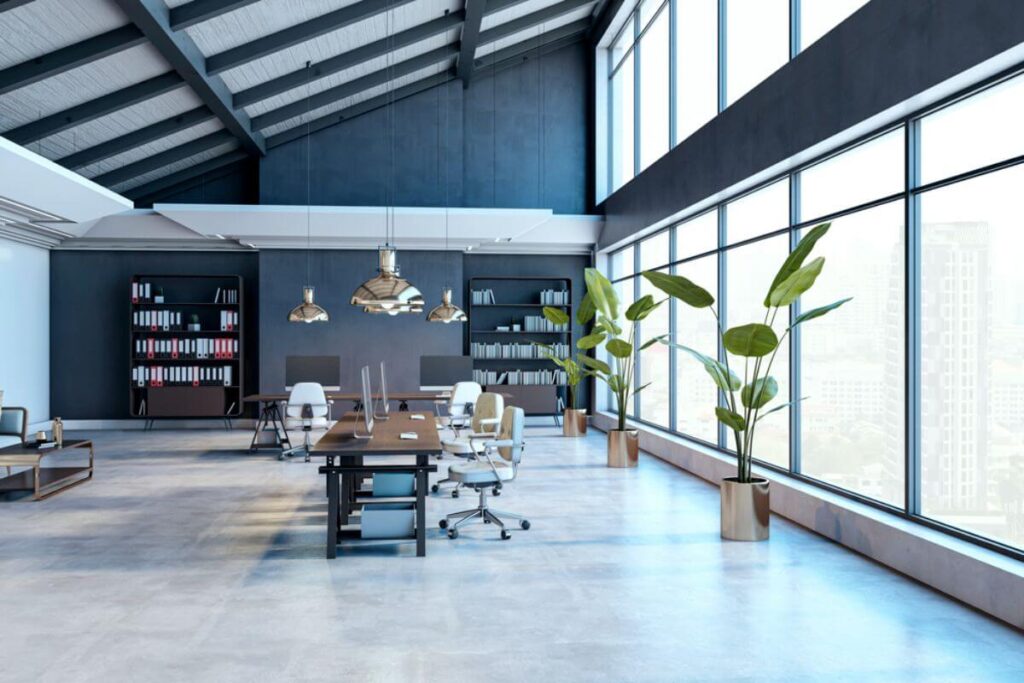 Premium Indoor Plants for the South's Most Sought-After Addresses