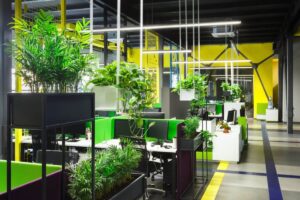 Plant Supplier in Ortigas: Green Solutions for Metro Manila's Busiest Business Hub