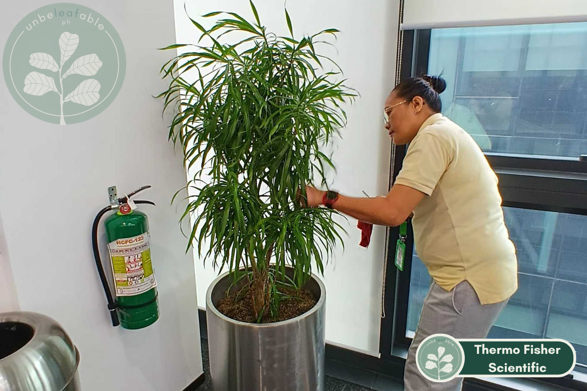 No Downtime, No Dead Plants