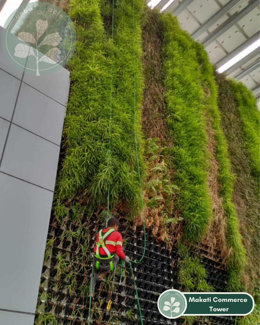 Unbeleafable Indoor Wall plant