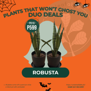 Halloween Duo Deals - Robusta